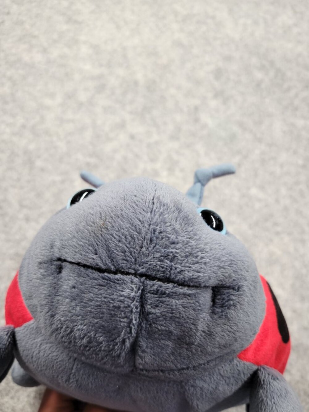 plush - Picture 9 of 9